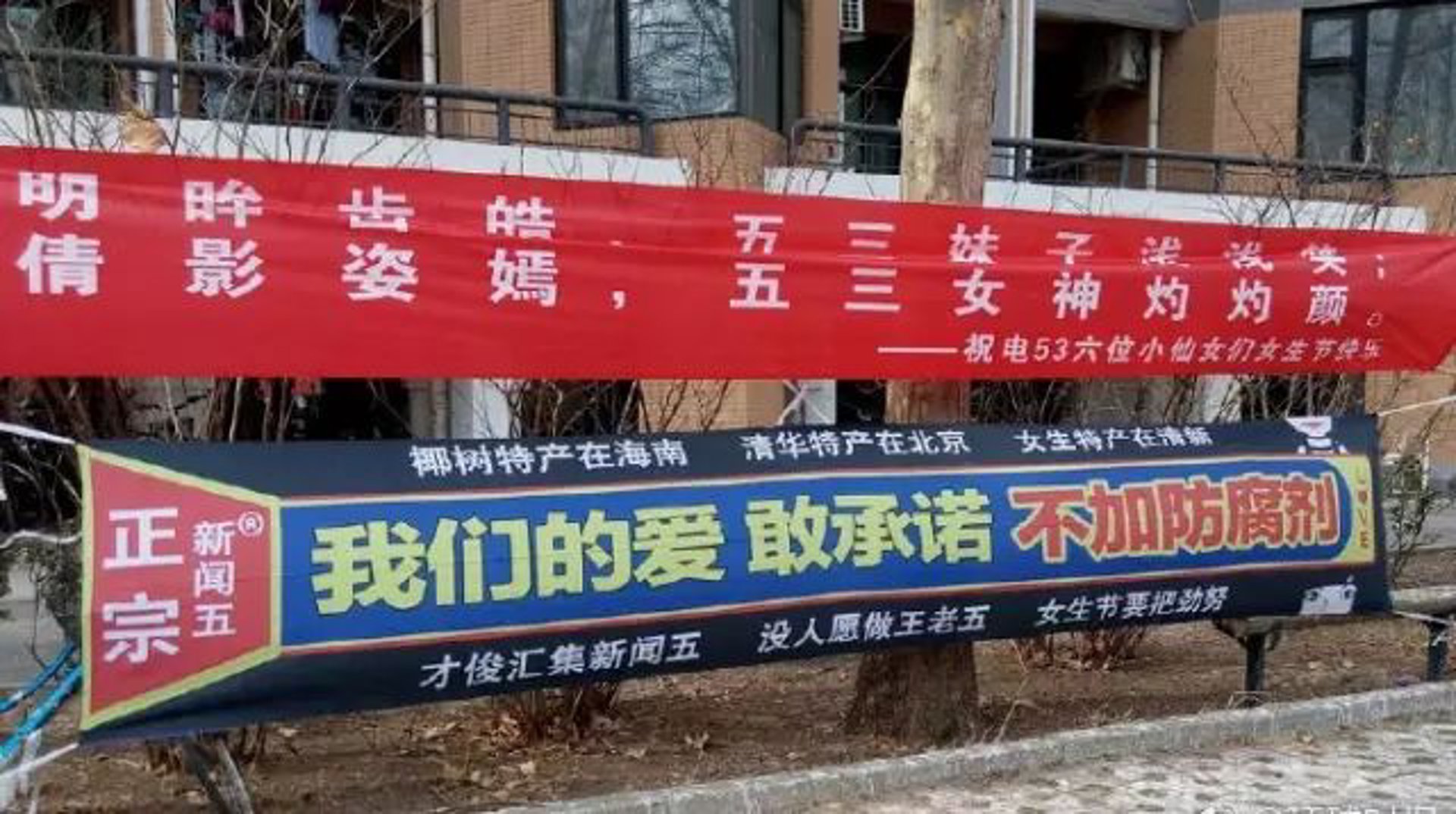强宇防腐材料